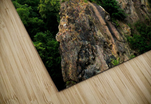 LS055 DeBeesonphotoart puzzle