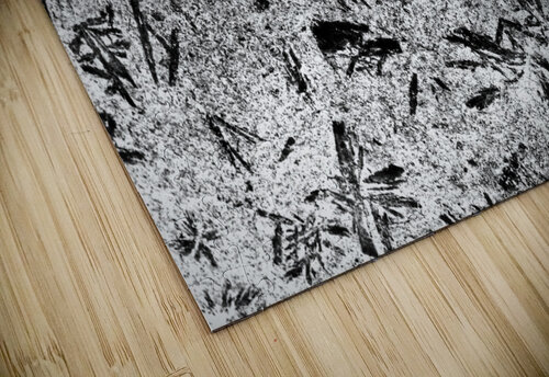 RA005 DeBeesonphotoart puzzle