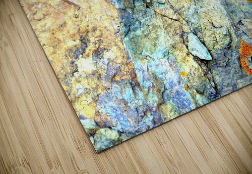 RA003 DeBeesonphotoart puzzle
