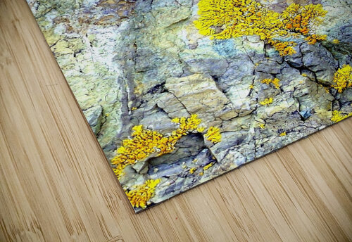 RA030 DeBeesonphotoart puzzle