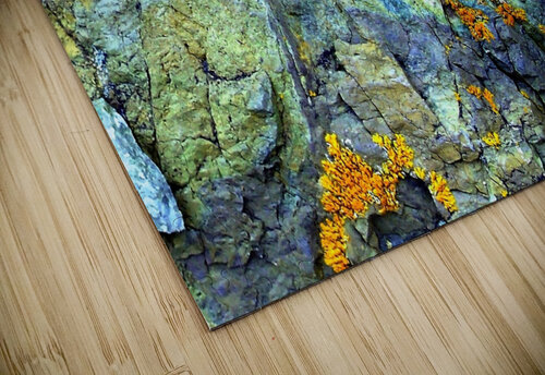 RA031 DeBeesonphotoart puzzle