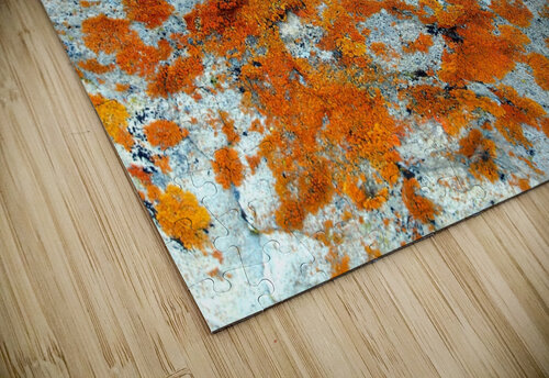 RA006 DeBeesonphotoart puzzle