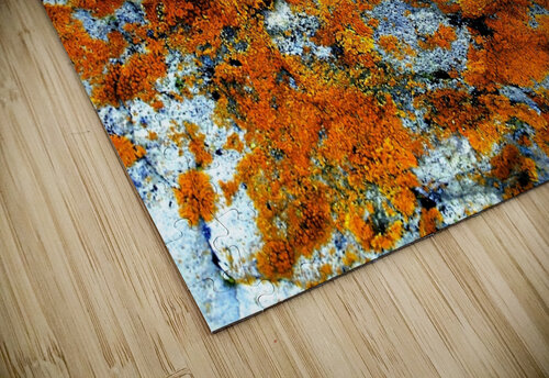 RA032 DeBeesonphotoart puzzle