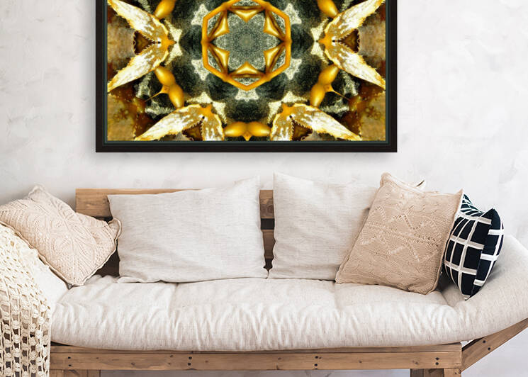 AB046 Reproduction