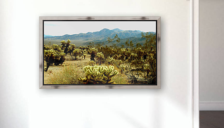 LS018 Reproduction