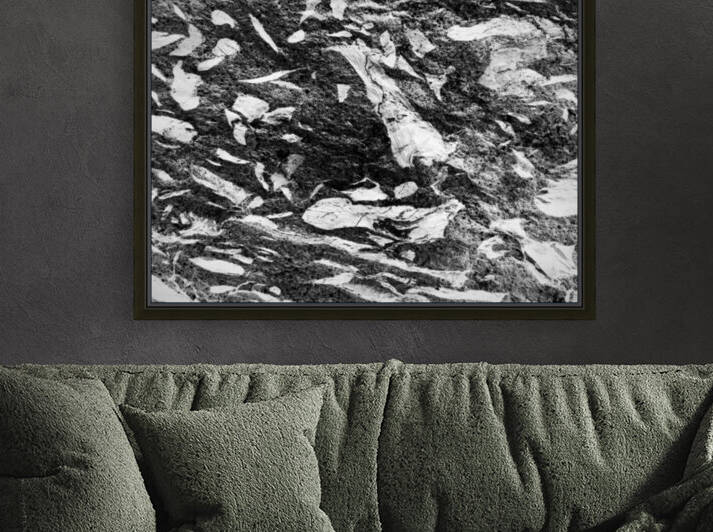 RA016 Reproduction