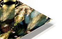 AB022 HD Metal print