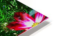 AB016 HD Metal print