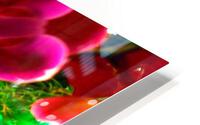AB034 HD Metal print