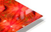 AB021 HD Metal print