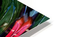 AB001 HD Metal print