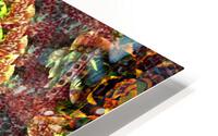 AB078 HD Metal print