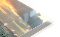 LS011 HD Metal print