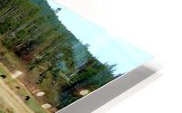 LS034 HD Metal print
