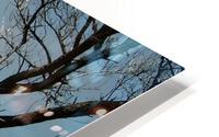 LS047 HD Metal print