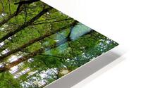 LS045 HD Metal print