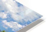 LS008 HD Metal print