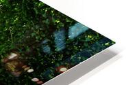 LS042 HD Metal print