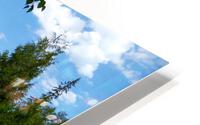 LS007 HD Metal print