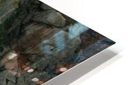 LS036 HD Metal print