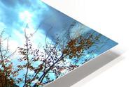 LS031 HD Metal print