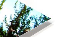LS027 HD Metal print