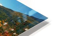 LS051 HD Metal print