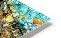 RA022 HD Metal print