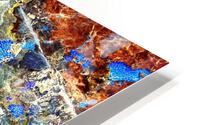RA023 HD Metal print