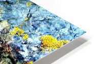 RA030 HD Metal print