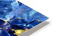 RA012 HD Metal print