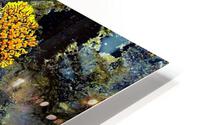 RA031 HD Metal print