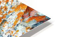 RA006 HD Metal print
