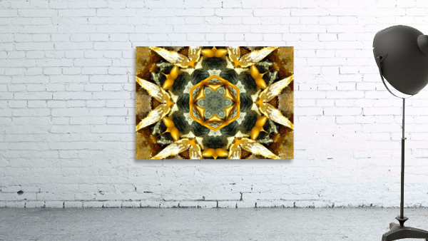 AB046 Wall Preview