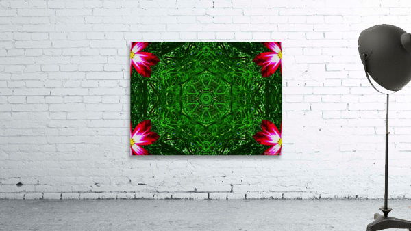 AB016 Wall Preview