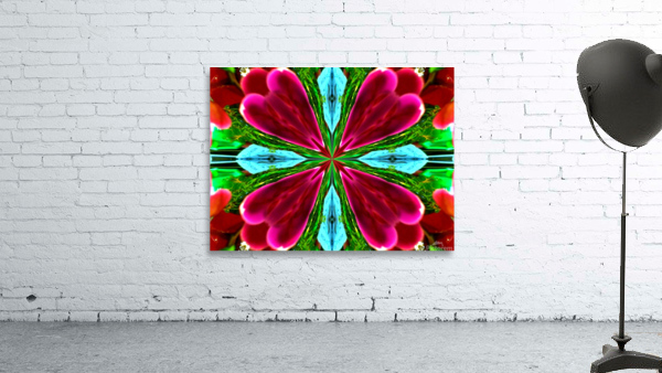 AB034 Wall Preview