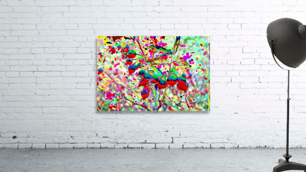 AB049 Wall Preview