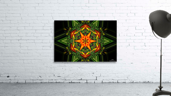 AB042 Wall Preview