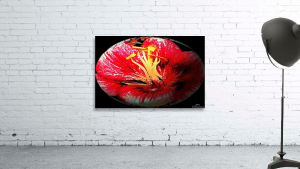 AB082 Wall Preview