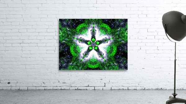 AB059 Wall Preview