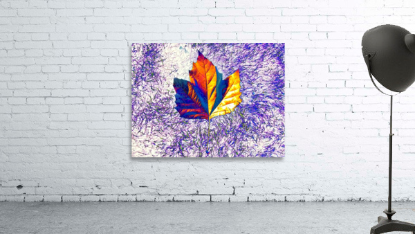 AB063 Wall Preview