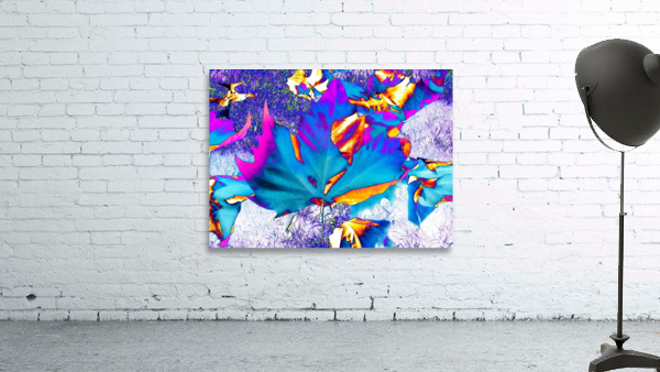 AB064 Wall Preview
