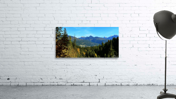 LS050 Wall Preview