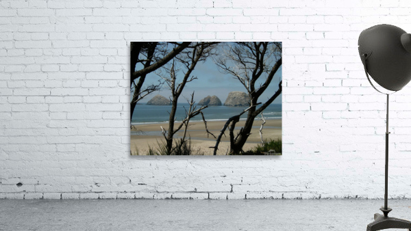 LS047 Wall Preview