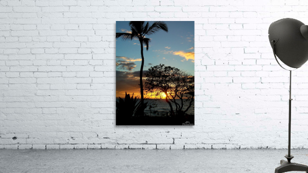 LS010 Wall Preview