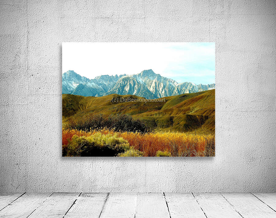 LS025 Wall Preview