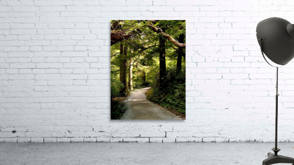 LS049 Wall Preview