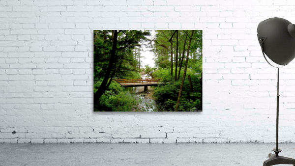 LS045 Wall Preview