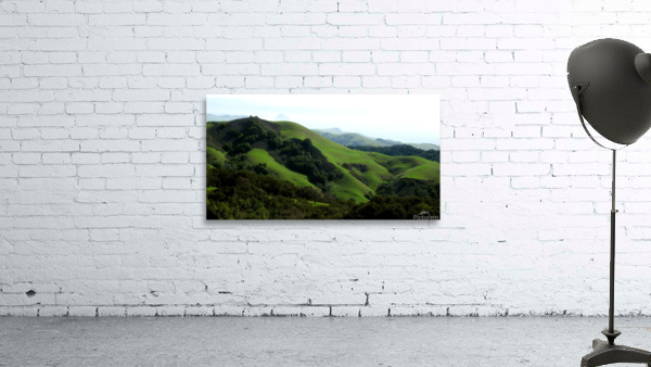 LS039 Wall Preview
