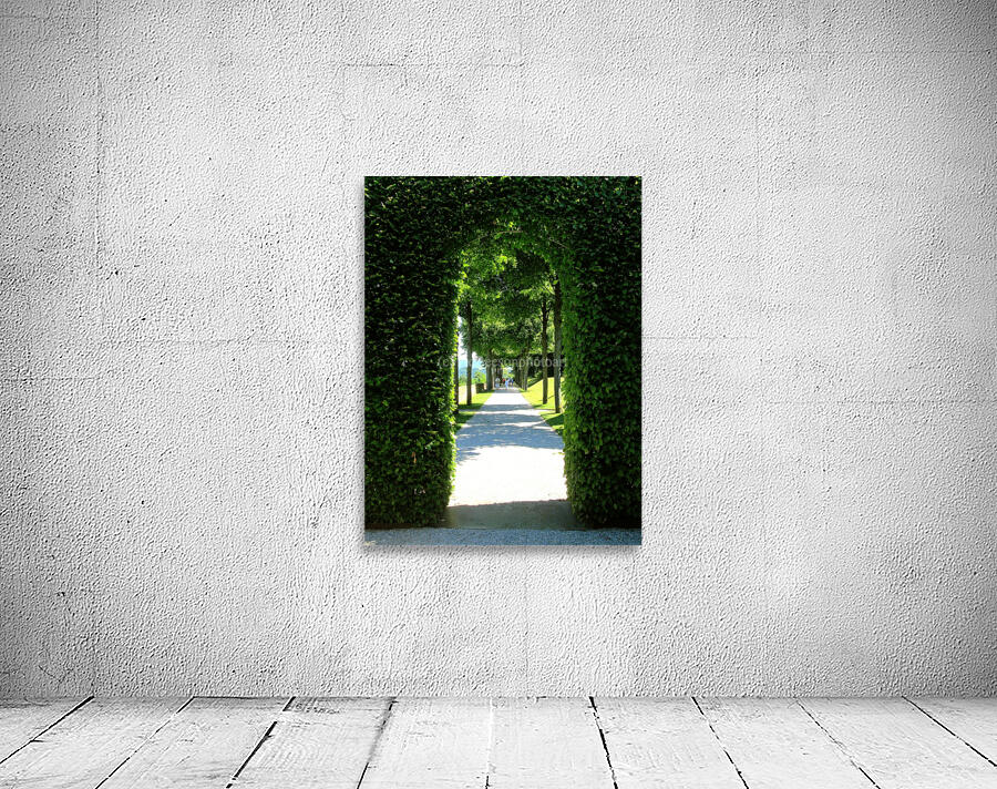 LS042 Wall Preview